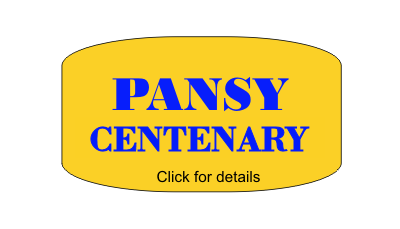 Pansy Centenary